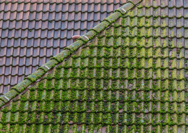 Nettoyage toiture avec produit hydrofuge et démoussage de lichen prix au m2 pour améliorer la durée de vie de la toiture à Mérignac